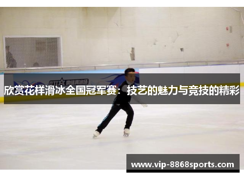 欣赏花样滑冰全国冠军赛：技艺的魅力与竞技的精彩