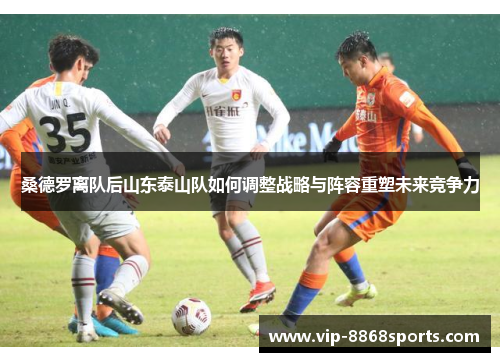 桑德罗离队后山东泰山队如何调整战略与阵容重塑未来竞争力