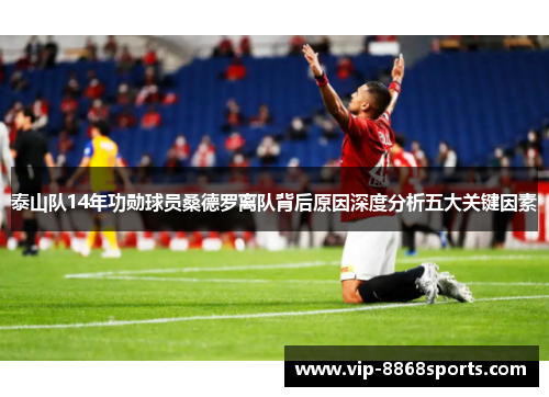 泰山队14年功勋球员桑德罗离队背后原因深度分析五大关键因素