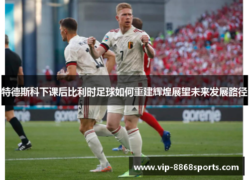 特德斯科下课后比利时足球如何重建辉煌展望未来发展路径