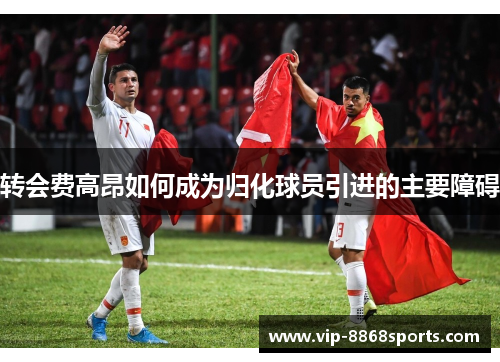 转会费高昂如何成为归化球员引进的主要障碍