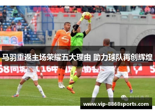 马羽重返主场荣耀五大理由 助力球队再创辉煌