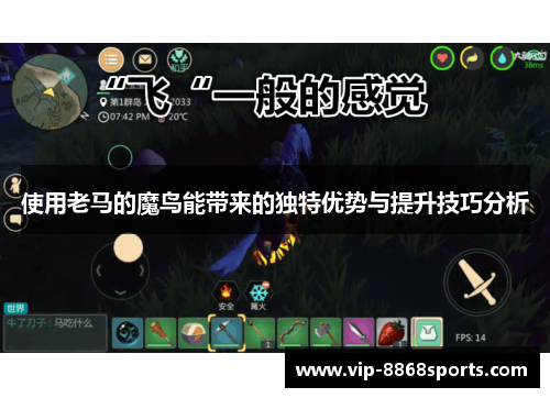 使用老马的魔鸟能带来的独特优势与提升技巧分析