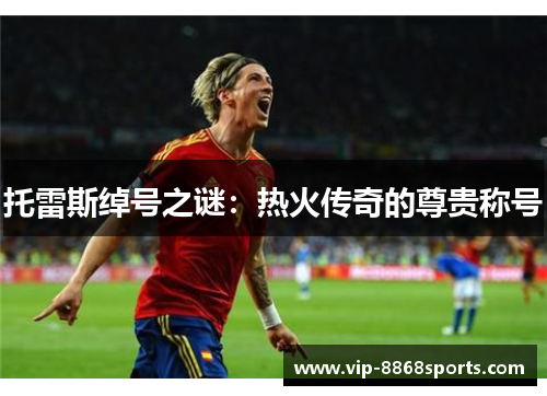 托雷斯绰号之谜：热火传奇的尊贵称号